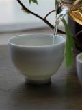 陈皮普洱茶食用方法